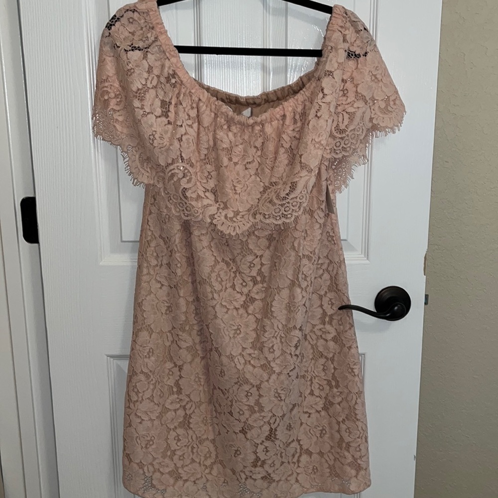 Wayf blush Lace Dress
